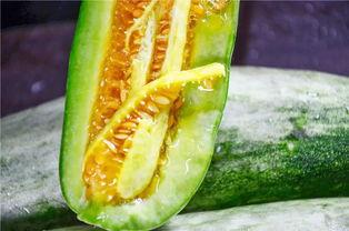 武都网红吃瓜群众是谁啊,揭秘武都网红“吃瓜群众”的真实身份 第3张 武都网红吃瓜群众是谁啊,揭秘武都网红“吃瓜群众”的真实身份 第3张