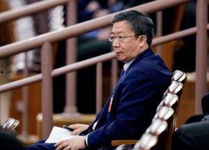 郭大锤最新爆料新闻,最新爆料新闻背后的惊人真相  第3张