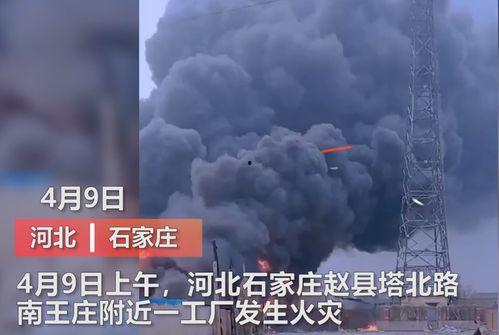 化肥厂爆料事件视频最新,揭秘行业黑幕与环保危机 第2张 化肥厂爆料事件视频最新,揭秘行业黑幕与环保危机 第2张